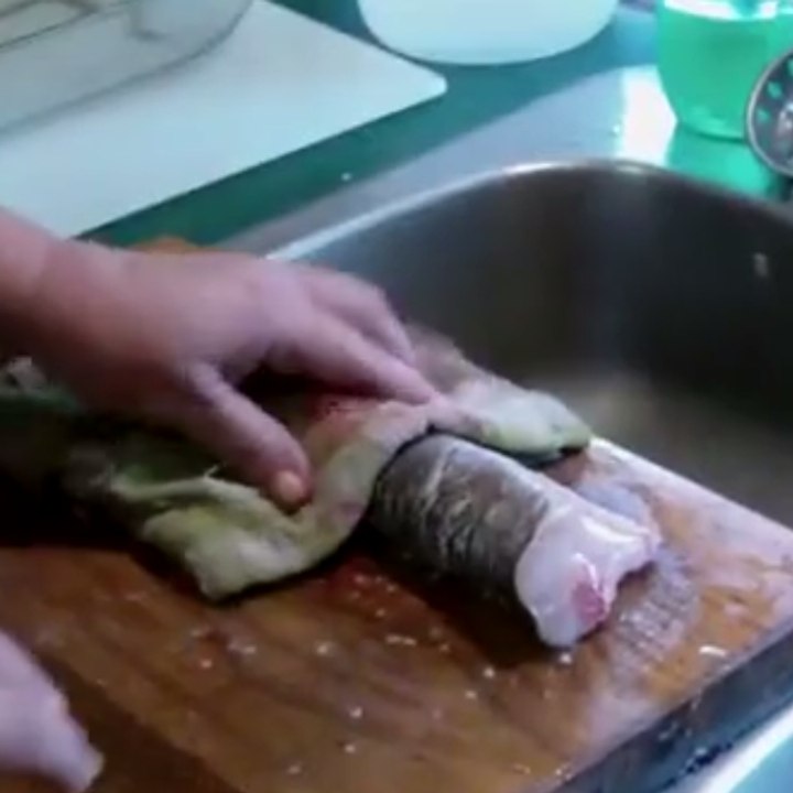 A headless fish still moves