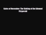 EBOOK ONLINE Gales of November: The Sinking of the Edmund Fitzgerald#  BOOK ONLINE