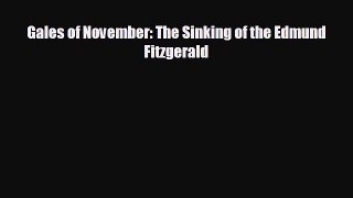 EBOOK ONLINE Gales of November: The Sinking of the Edmund Fitzgerald#  BOOK ONLINE