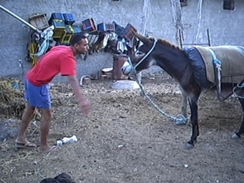 gag zizou vs materrzzi // zizou tunisien