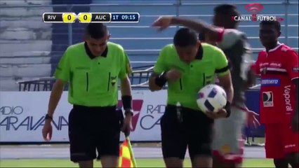 Un match de football arrêté à cause d'une violente attaque d'abeilles sur le terrain !