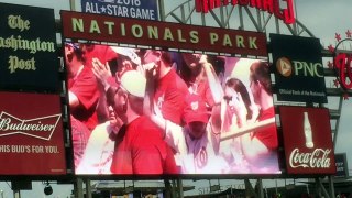 Washington Nationals 2016 Starting Lineup