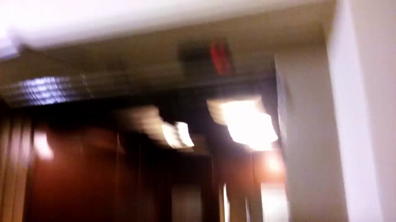 MOV_1811