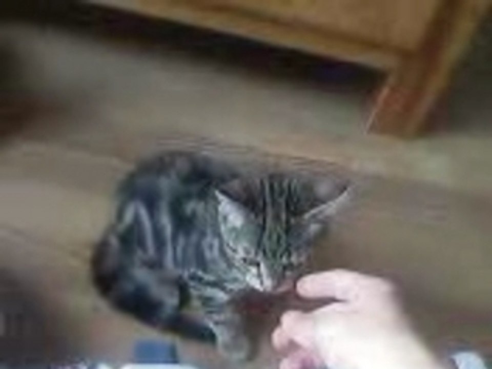 VID003