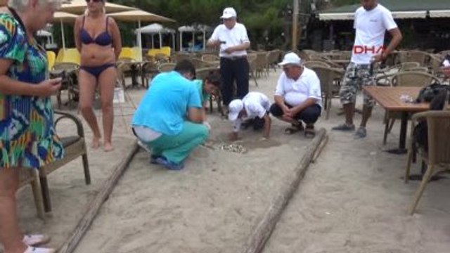Kemer Yuvadan Çıkan Son Caretta Caretta Yavrusu Denizle Buluştu