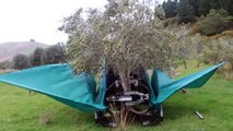 Il Modo In Cui Questo Macchinario Raccoglie Le Olive è Stupefacente E… Ipnotico!