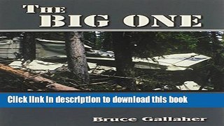 Read The Big One, The True Story of an Epic Search to Find a Missing Small Plane Lost for Years