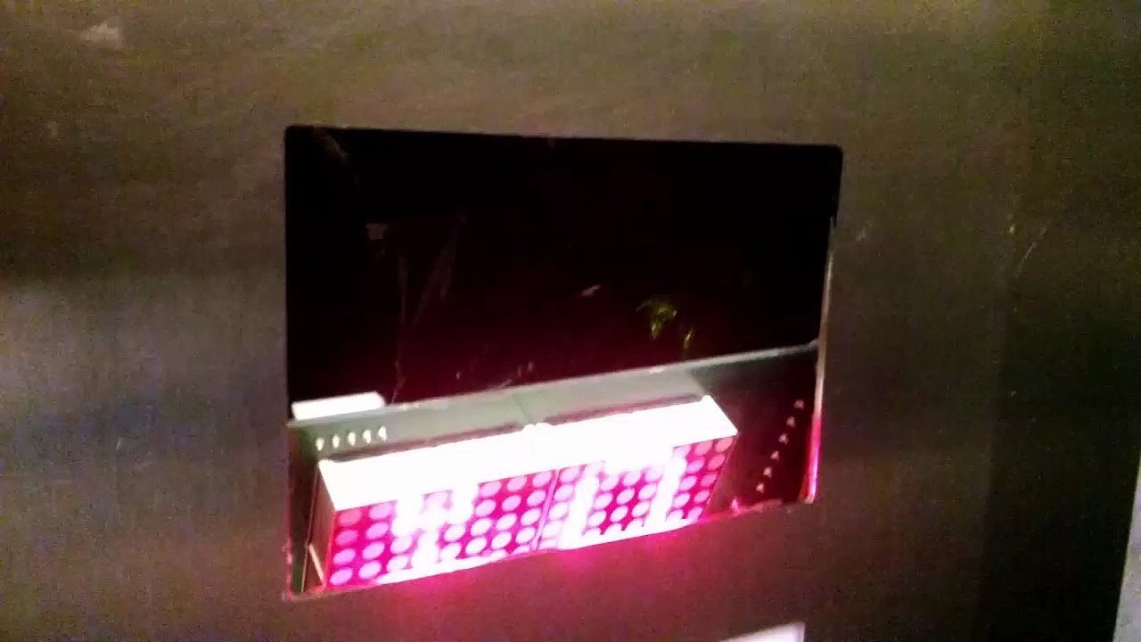 MOV_1831