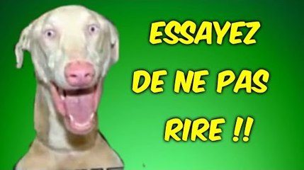 ESSAYEZ DE NE PAS RIRE SPECIAL ANIMAUX