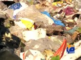 CM Sindh gives three-day deadline to clean Karachi of garbage -18 July 2016