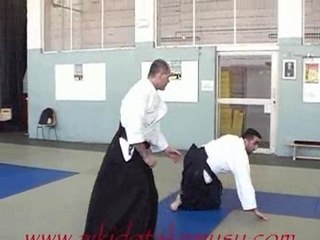 ryo kata dori shiho nage