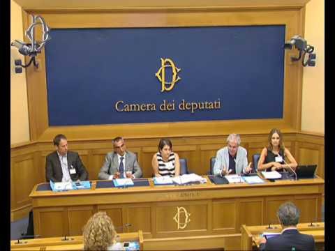 Roma - Conferenza stampa di Edoardo Patriarca (12.07.16)