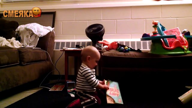 Приколы август 2016. видео приколы, фото приколы, смотреть приколы бесплатно, приколы смешной смешнее