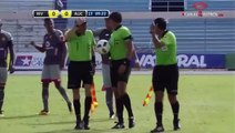 Crazy Bee Attack Disrupts A Match In Ecuador!