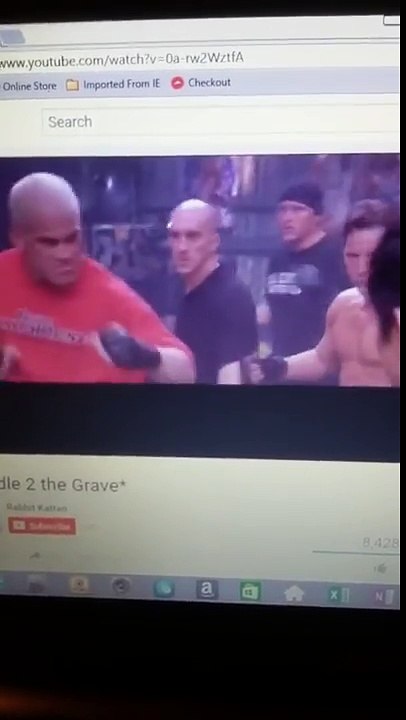 Cradle 2 the grave jet li dmx