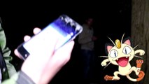 POKÉMON GO NACHTS IM WALD