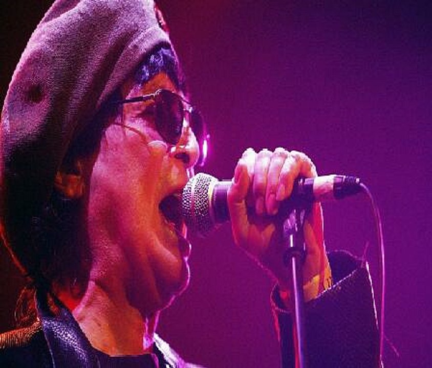 Punk Pioneer Dies