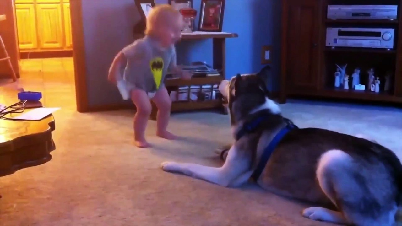 [Viral Video Compilation] Part 3  Best Viral Videos