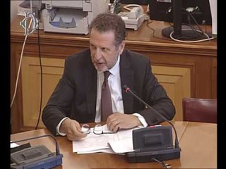 Roma - Audizione Federculture e Fondazione Fitzcarraldo (13.07.16)