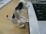 Humping Dog Usb