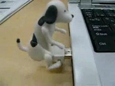 Humping Dog Usb