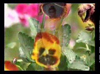 THẬP THIỆN NGHIỆP (12) ĐĐ. THÍCH GIÁC THIỆN Giảng