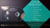 Timur Gökyiğit - Ben Sevdadan Anlamam ( Official Audio Video )