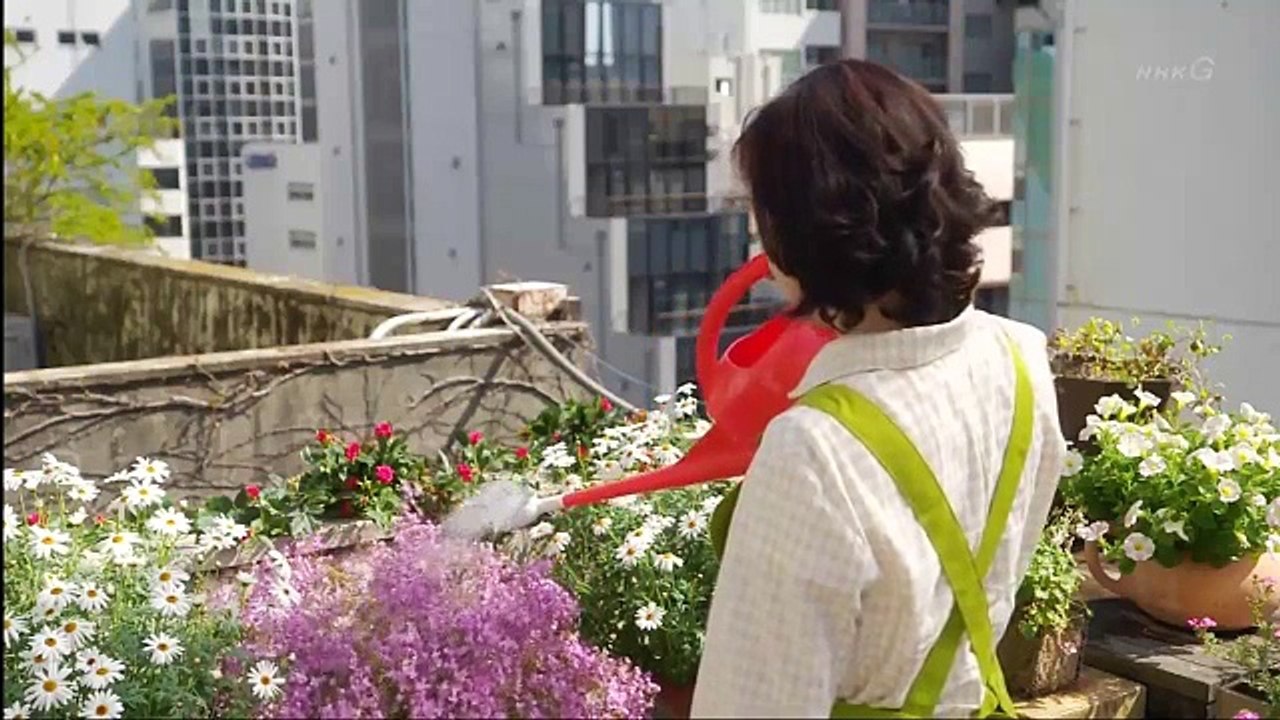喧騒の街、静かな海 (7月18日) #1