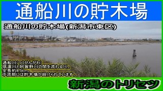 新潟の風景 通船川の貯木場(新潟市東区) 2016-07-16