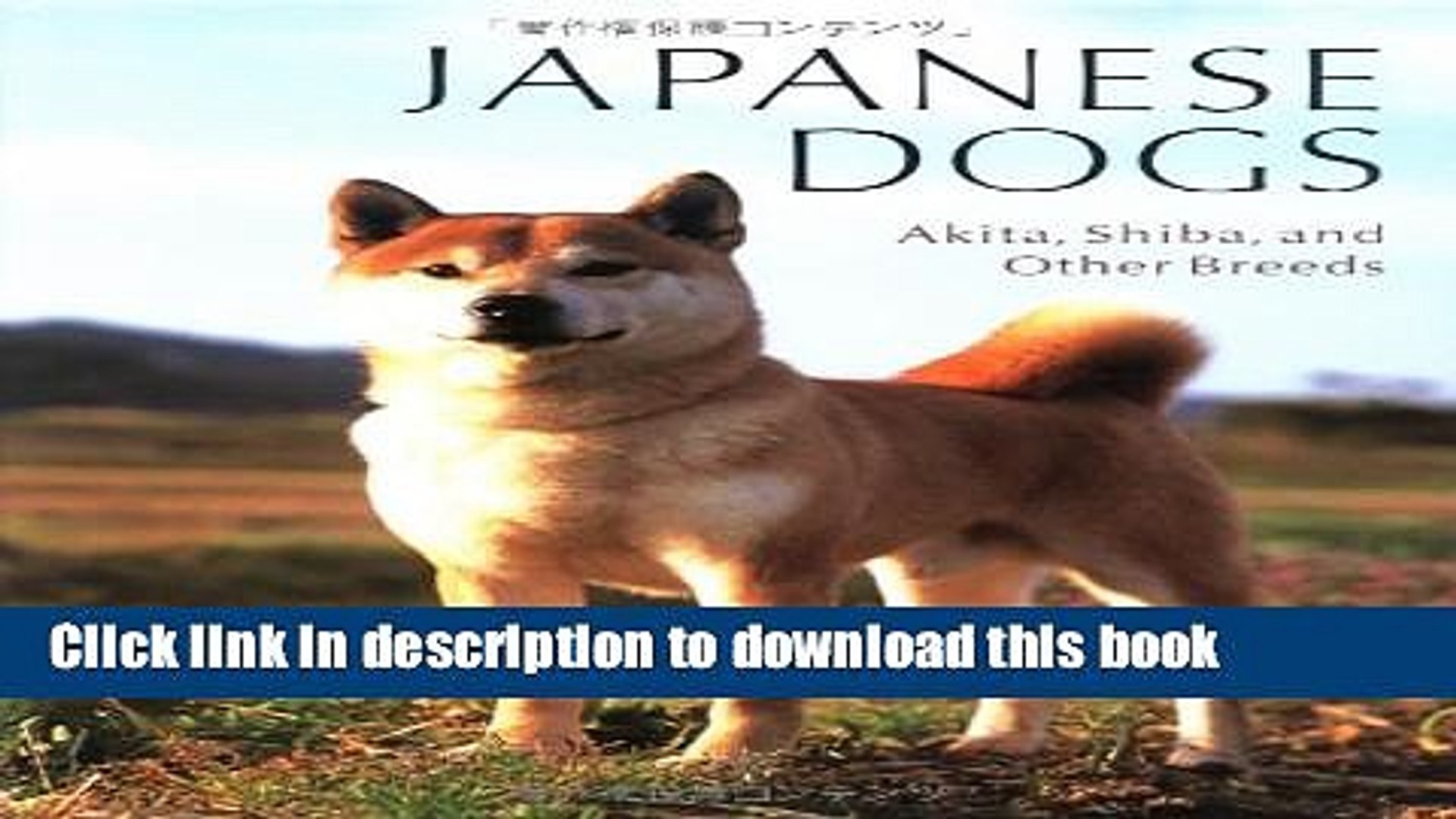 Download Book Japanese Dogs Akita Shiba And Other Breeds