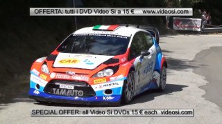 36° Rally Internazionale del Casentino 2016 ps 6 Dama veloce curva VIDEO SI