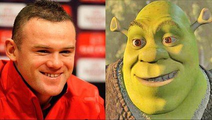 Who Look Like Animals - LOL