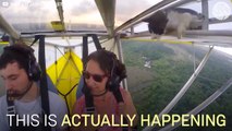 Un chat coincé dans un deltaplane embraqué dans un vol bien flippant pour lui