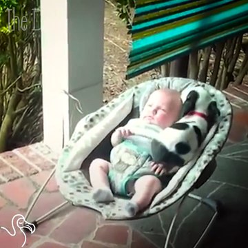Un chiot et un bébé ne peuvent pas dormir l'un sans l'autre... Adorable
