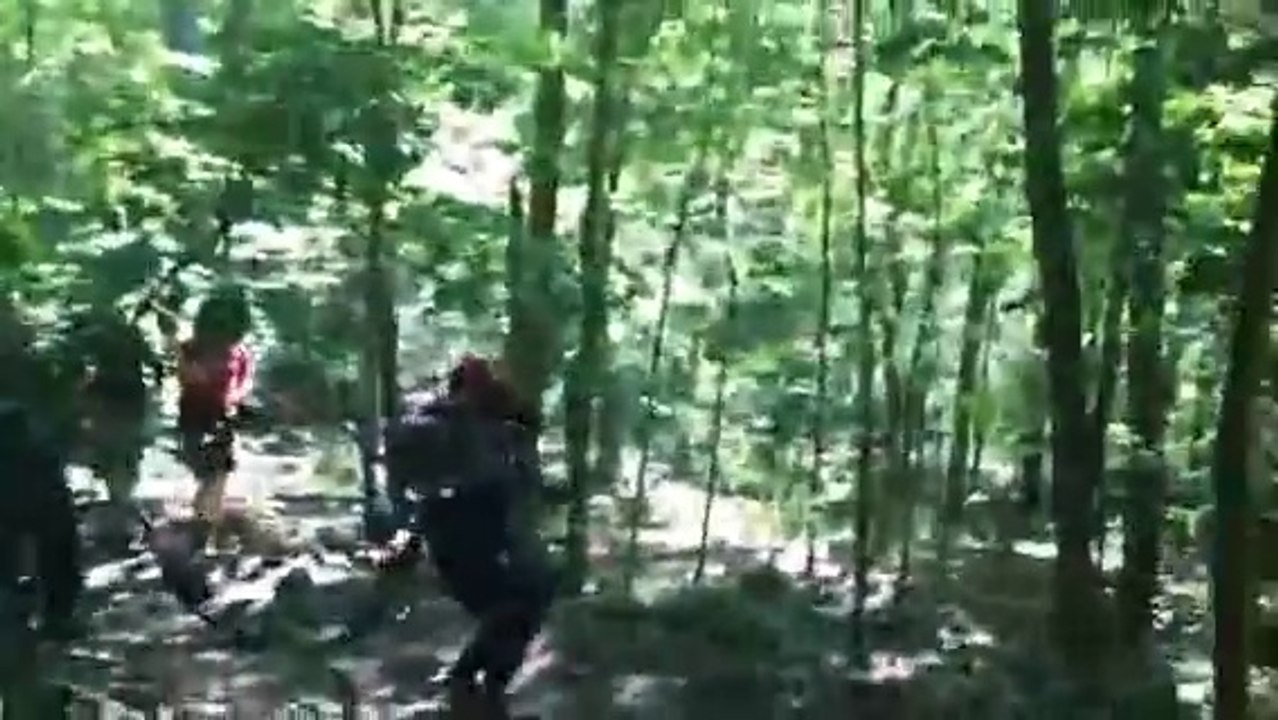 Promener son chien et tomber sur un robot... Effrayant !