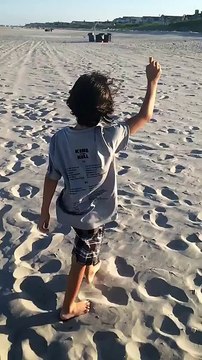 Ce gamin se fait attaquer par des mouettes en voulant les nourrir - Pas très reconnaissantes