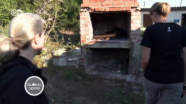 South Africa: Helping the African penguin | Global 3000