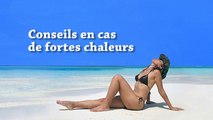Les conseils en cas de fortes chaleurs
