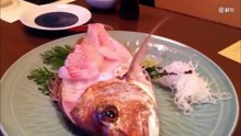 Ce poisson revient à la vie alors qu’il allait être dégusté dans cette assiette !