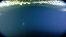 015 Haring in beeld Trek 4  vlc-record-2016-07-06-14h05m09s-GP020868.MP4-