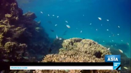 Visiting Lakshadweep: the Indian island with a year-long waiting list for tourists