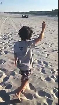 Un garçon veut nourrir les mouettes sur une plage mais va le regretter !