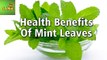 Health Benefits Of MINT LEAVES | Care Tv