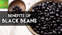 Benefits Of Black Beans | Care Tv