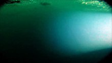 017 Kwallen door het beeld Trek 17 vlc-record-2016-07-18-00h02m35s-GP030915.MP4-