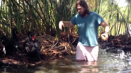 Stupid People: Angry and Confused Animals