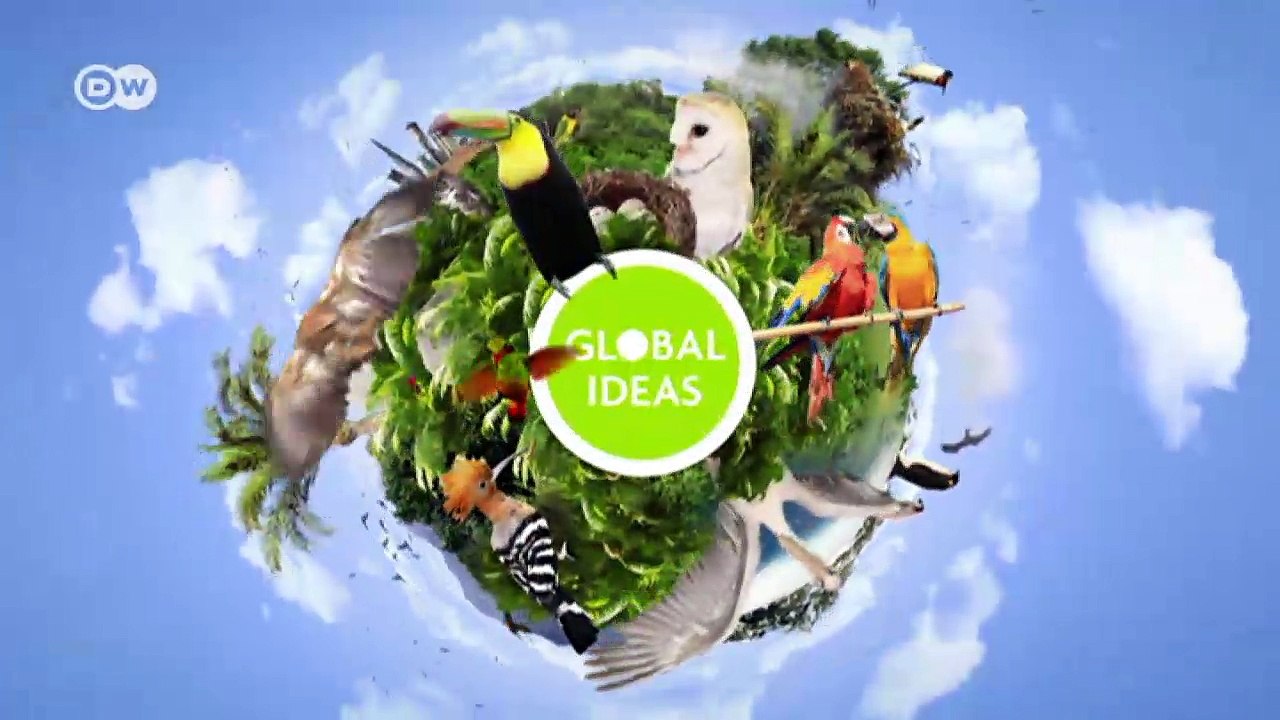 Brillenpinguine gucken in die Röhre | Global Ideas