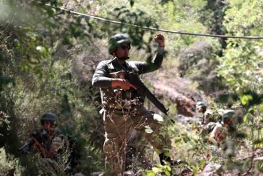 Marmaris'te Ormanlık Alana Kaçan 'Karma Tim' Aranıyor