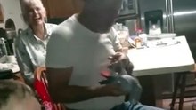 Ce perroquet est un sacré farceur, regardez ce que ce dernier fait