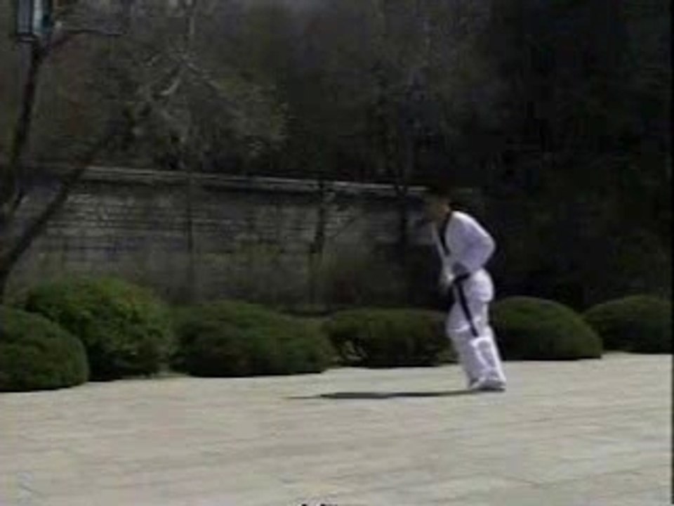 Taekwondo kicks (PART 1)